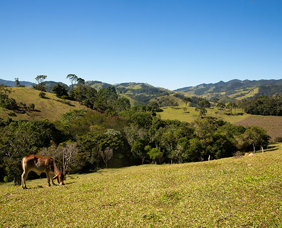 Santuário rural no coração de Cunha
